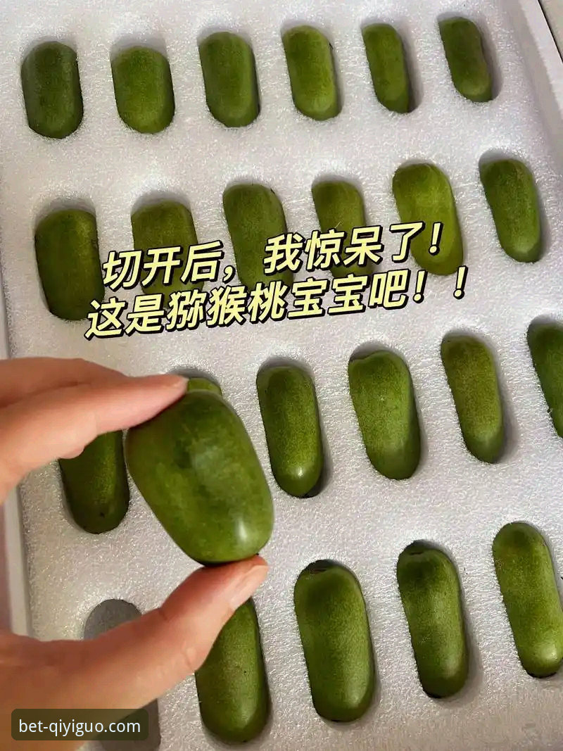 奇异果体育安卓版常见问题 奇异果体育安卓版常见问题实用指南:从下载到投注的必备知识