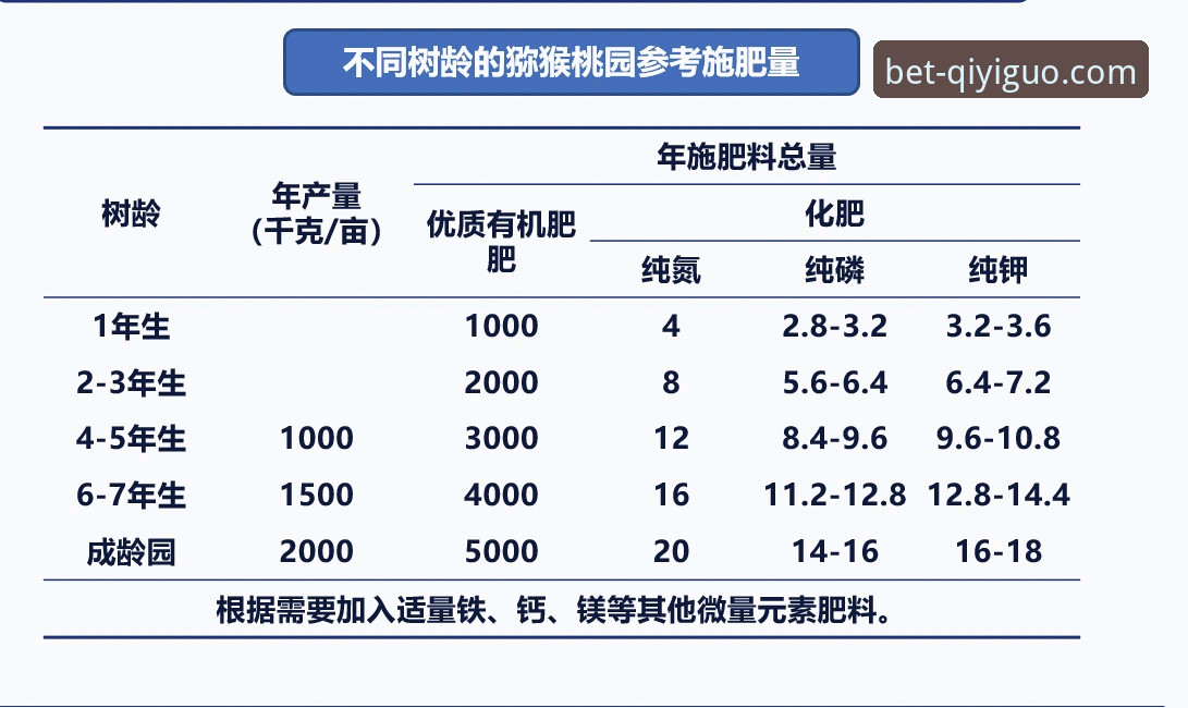 奇异果体育网页版 奇异果体育网页版深度使用教程:从入门到实战投注
